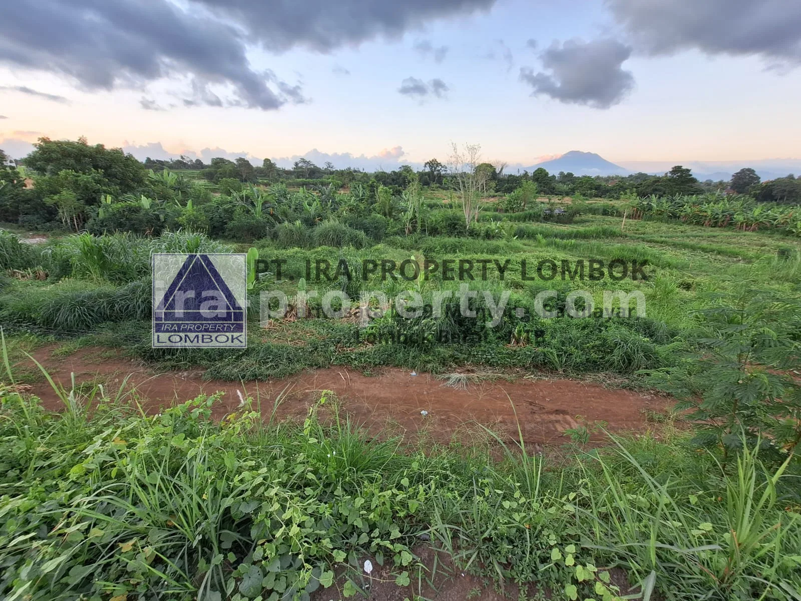 Land · Bali Island · photo 2 of 7 Mountain and Ocean View Land for Sale in Keramas, Bali - 77 - 2