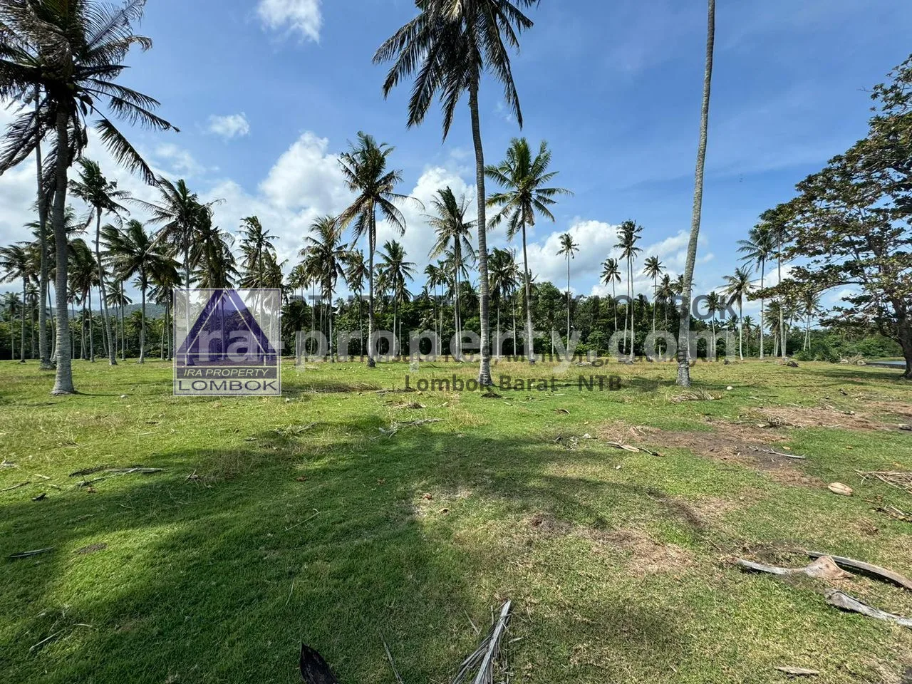 Land · Bali Island · photo 2 of 3 Prime Beachfront Land at Balian Beach, Tabanan, Bali - 82-2 - 2