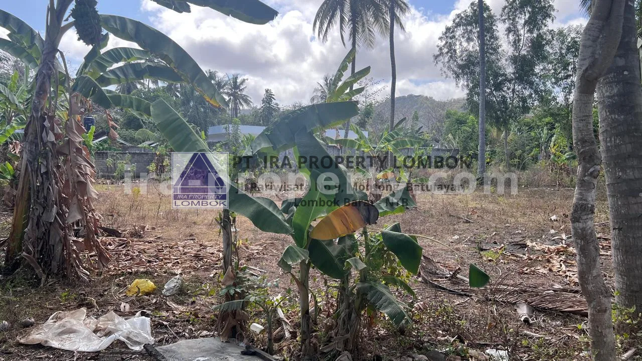 Tanah · Kuta Mandalika · foto 4 dari 4 Tanah Strategis di Pusat Kuta Mandalika - 476 - 4
