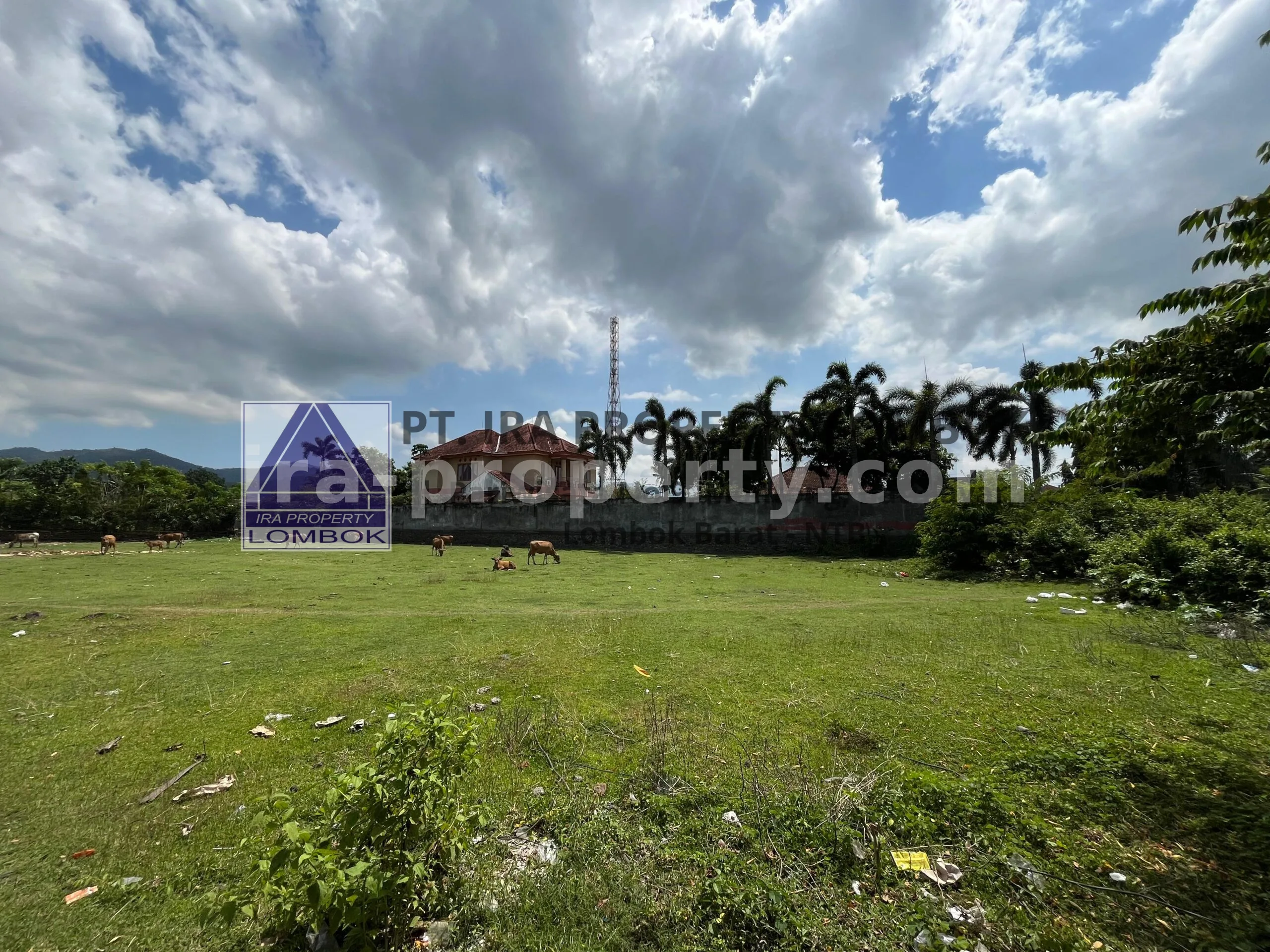 Tanah · Area Lombok Barat · foto 3 dari 5 Tanah Strategis Pinggir Jalan di Sandik, Lombok Barat - 468 - 3