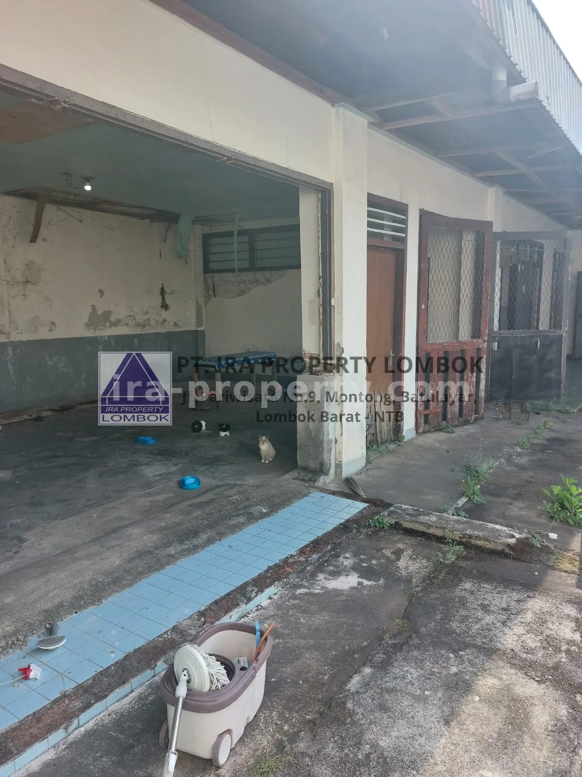 Rumah · Kota Mataram · foto 5 dari 6 Rumah Strategis di Cakra Dekat Taman Mayura - 618 - 5