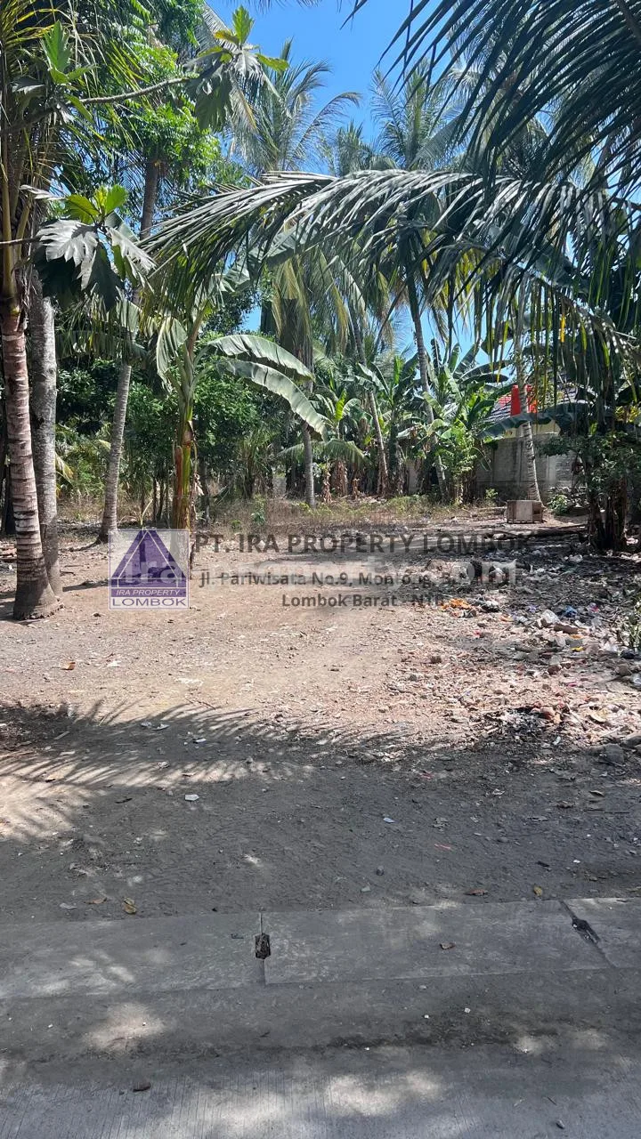 Tanah · Kuta Mandalika · foto 2 dari 4 Tanah Strategis Dijual di Pusat Kuta Mandalika - 478 - 2