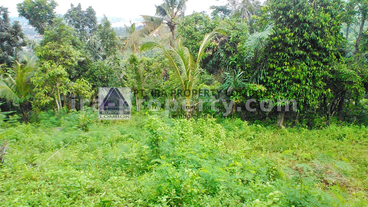 Land · South Lombok Area · photo 3 of 6 Scenic Land for Sale in Penyawangan - 368 - 3