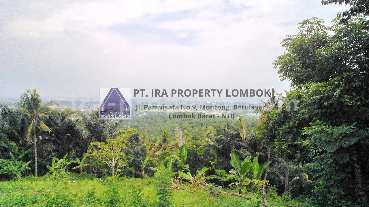 Land · South Lombok Area · photo 5 of 6 Scenic Land for Sale in Penyawangan - 368 - 5