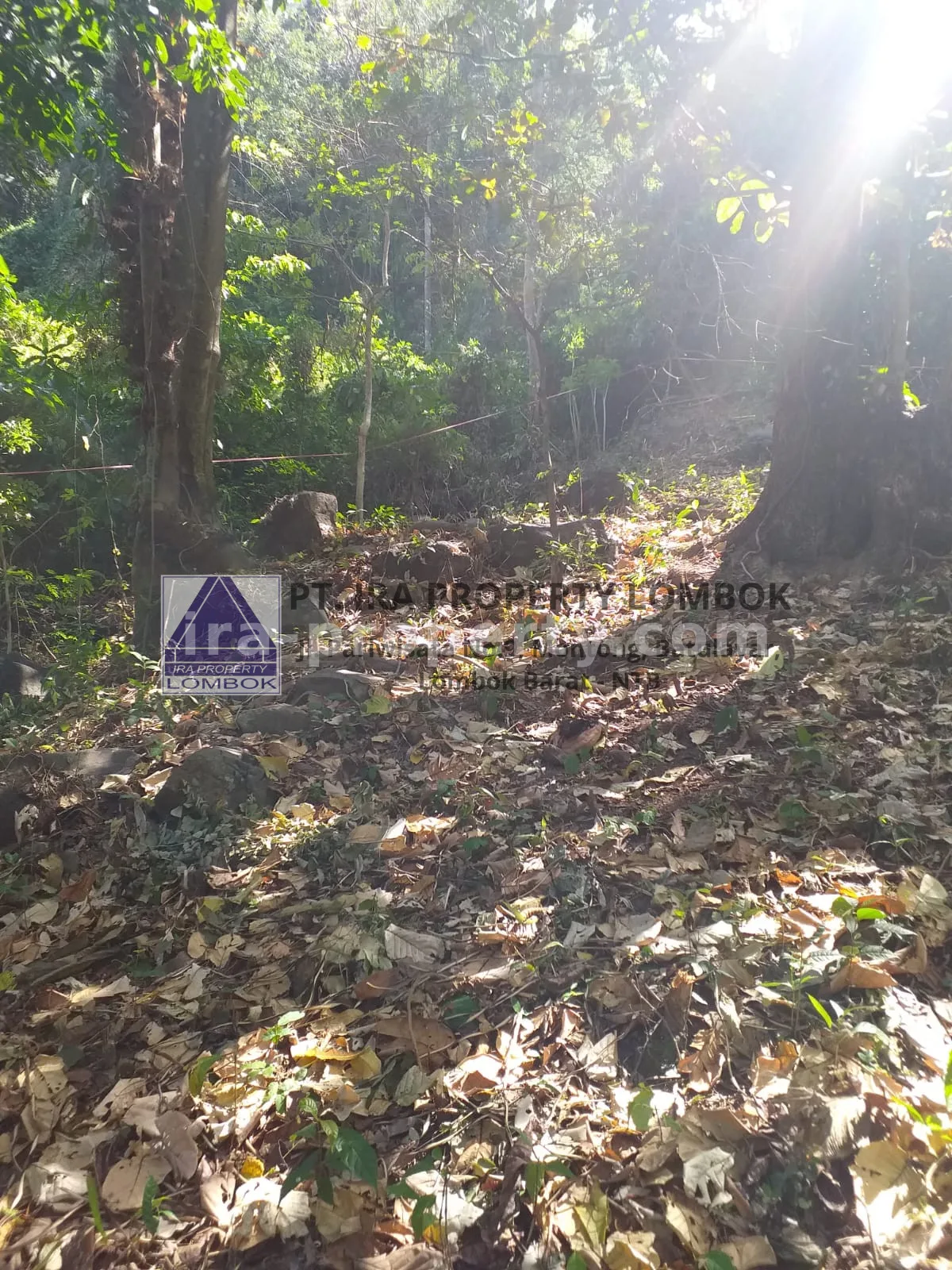 Tanah · Senggigi · foto 2 dari 8 Tanah Strategis Dekat Kawasan Wisata Kerandangan Senggigi - 369 - 2