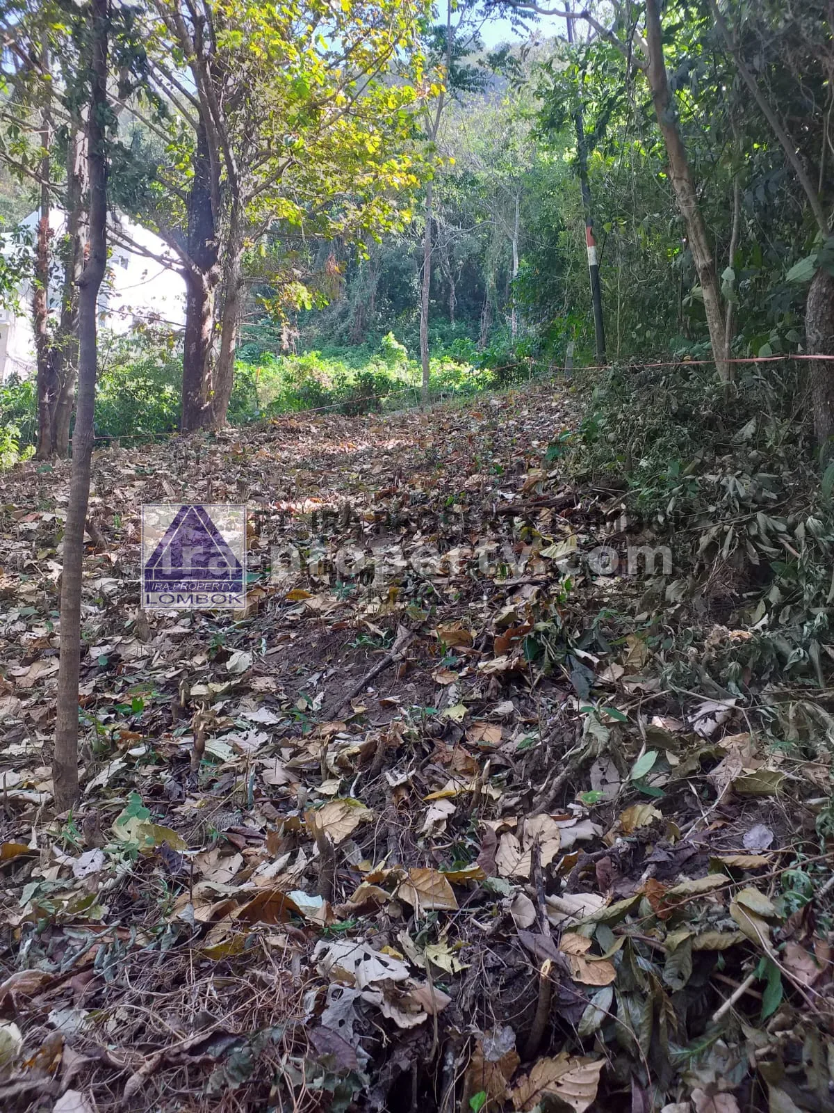 Tanah · Senggigi · foto 3 dari 8 Tanah Strategis Dekat Kawasan Wisata Kerandangan Senggigi - 369 - 3