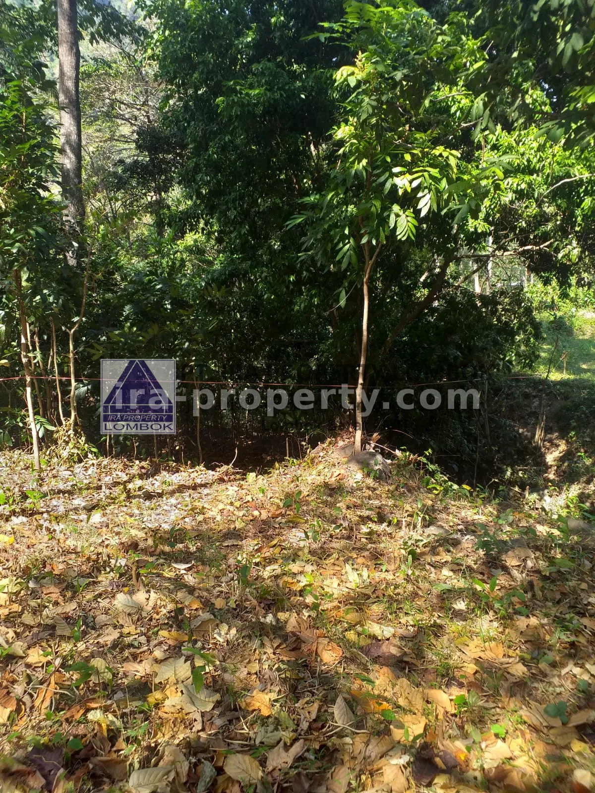 Tanah · Senggigi · foto 4 dari 8 Tanah Strategis Dekat Kawasan Wisata Kerandangan Senggigi - 369 - 4