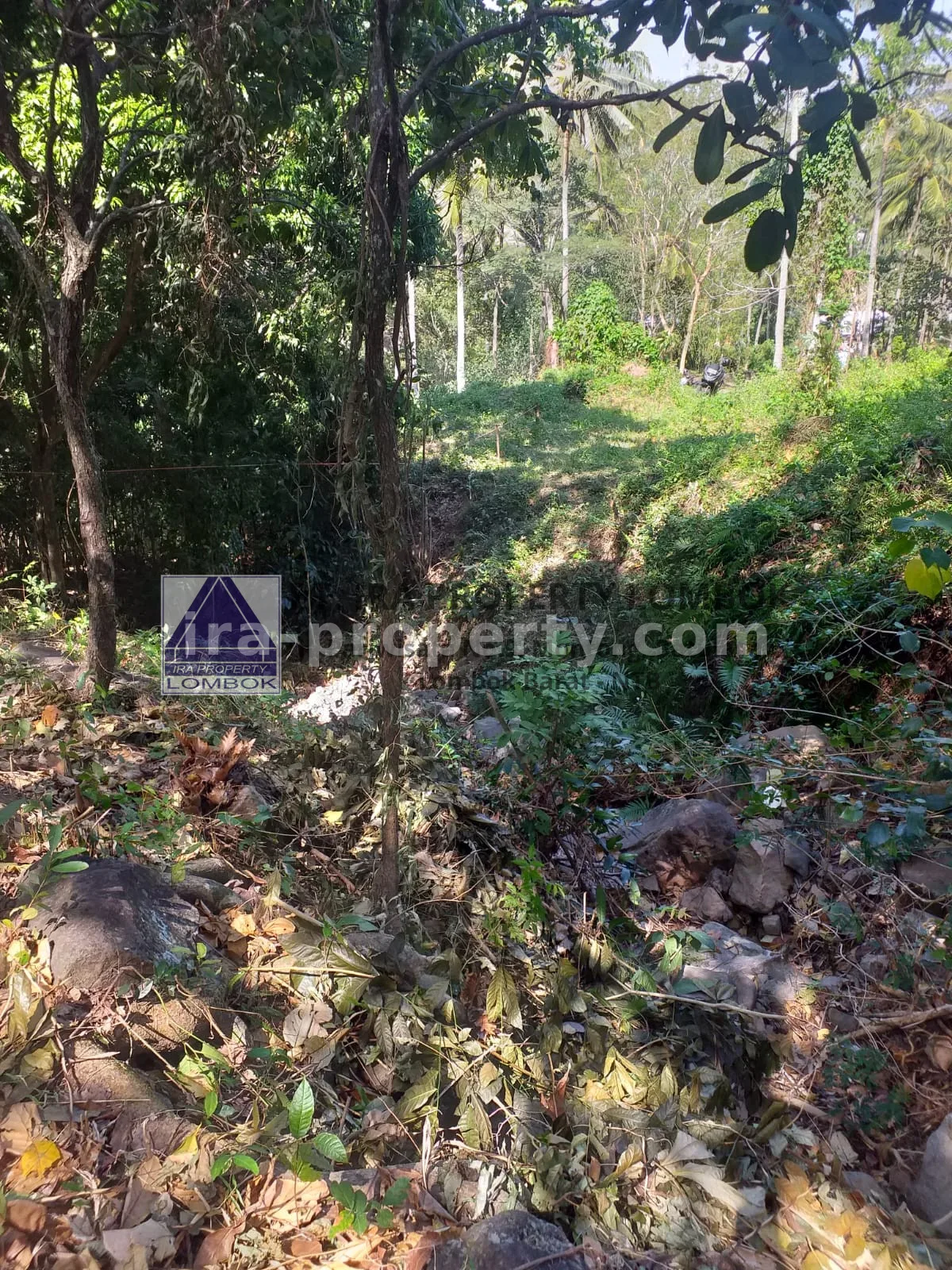 Tanah · Senggigi · foto 5 dari 8 Tanah Strategis Dekat Kawasan Wisata Kerandangan Senggigi - 369 - 5