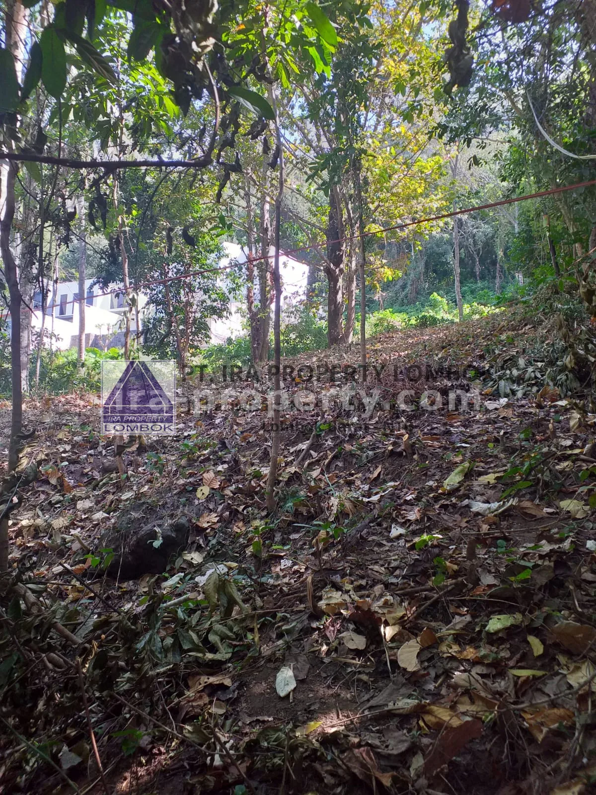 Tanah Strategis Dekat Kawasan Wisata Kerandangan Senggigi - 369 - 6
