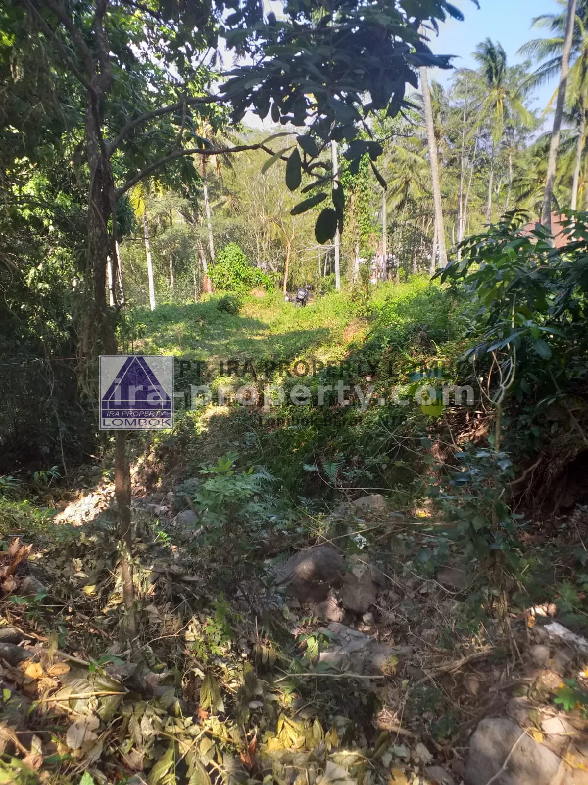 Tanah Strategis Dekat Kawasan Wisata Kerandangan Senggigi - 369 - 7