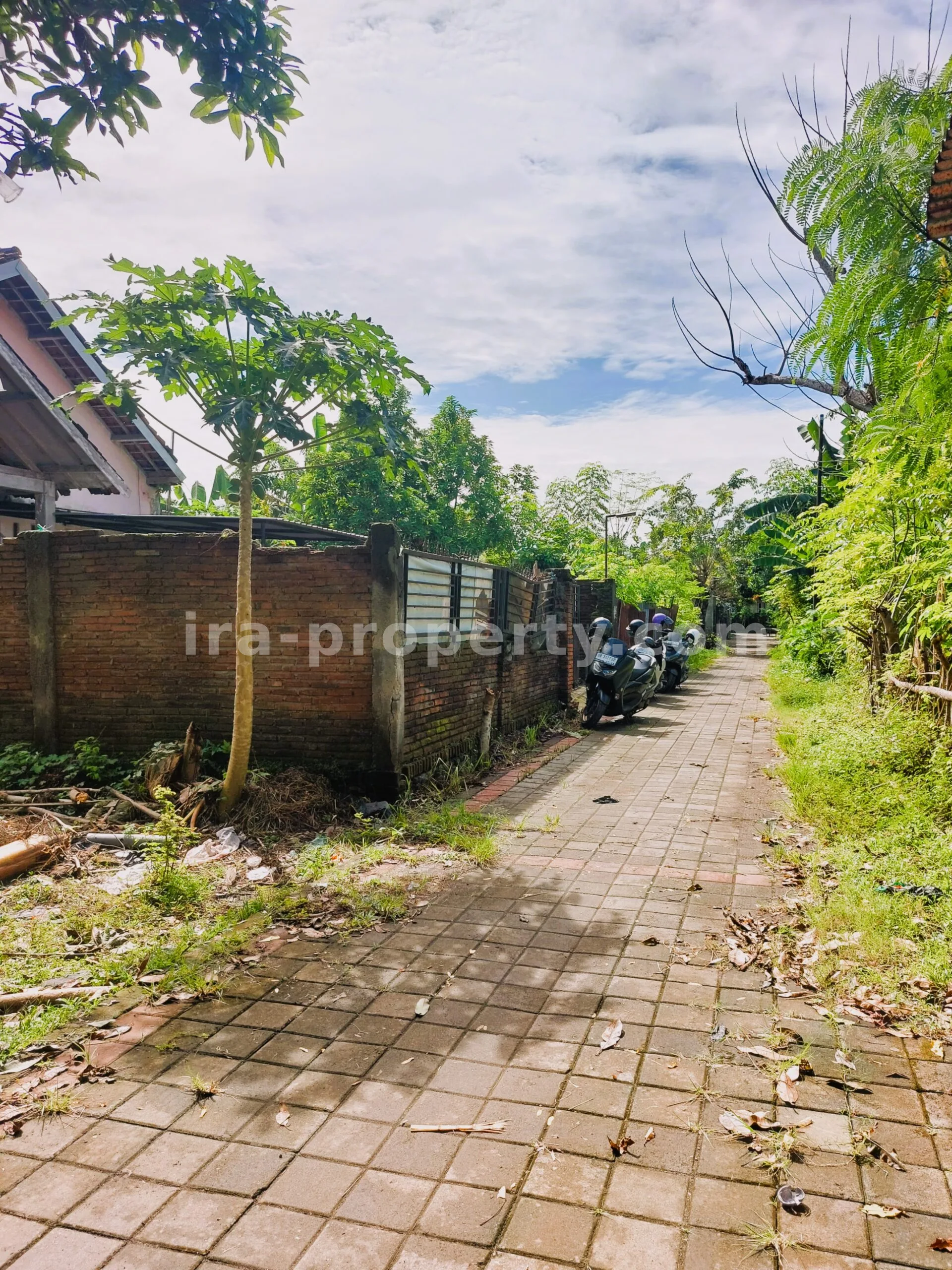 House for Sale in Ireng Jatisela, West Lombok - 658 - 14