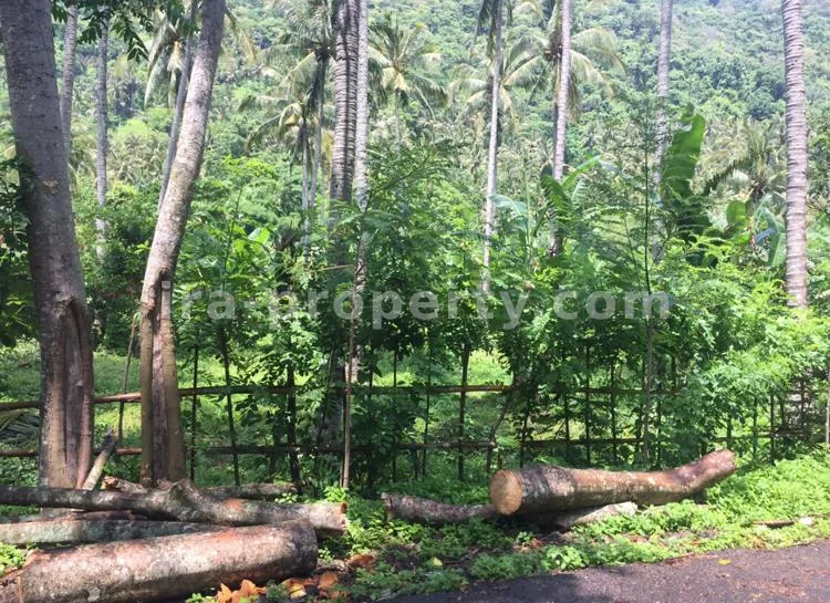 Tanah · Senggigi · foto 1 dari 3 Tanah Dijual di Kerandangan Dekat Senggigi, Lombok Barat - 266 - 1