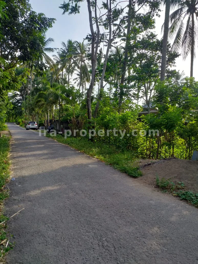 Tanah · Senggigi · foto 2 dari 3 Tanah Dijual di Kerandangan Dekat Senggigi, Lombok Barat - 266 - 2