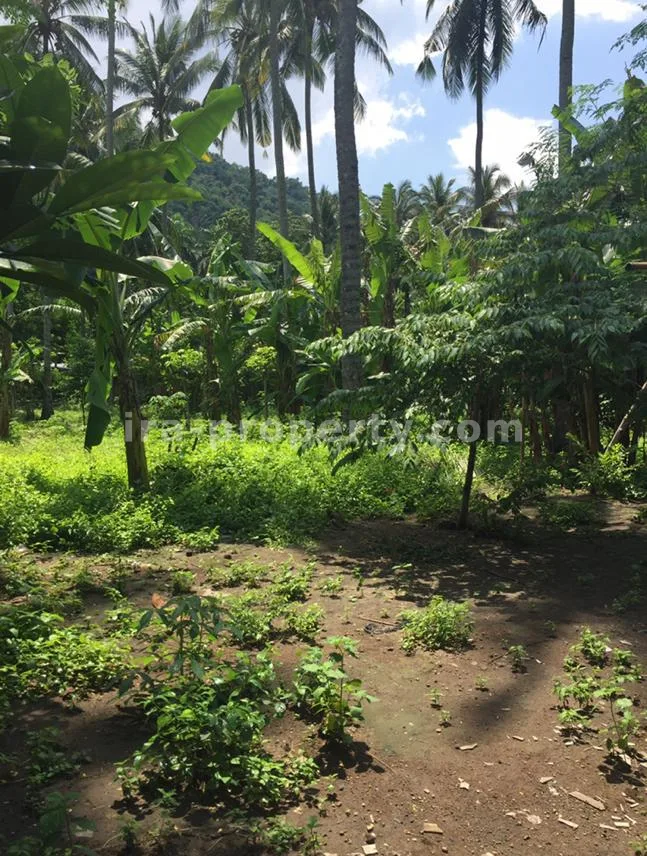 Tanah · Senggigi · foto 3 dari 3 Tanah Dijual di Kerandangan Dekat Senggigi, Lombok Barat - 266 - 3