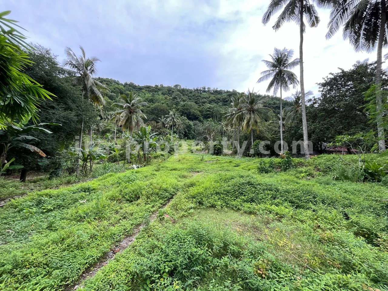 Tanah · Senggigi · foto 1 dari 4 Tanah Dijual di Kerandangan Dekat Senggigi, Lombok Barat - 371 - 1