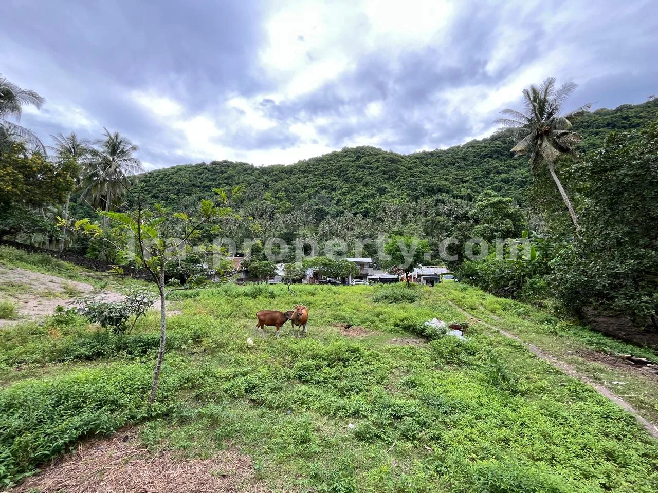 Tanah · Senggigi · foto 2 dari 4 Tanah Dijual di Kerandangan Dekat Senggigi, Lombok Barat - 371 - 2