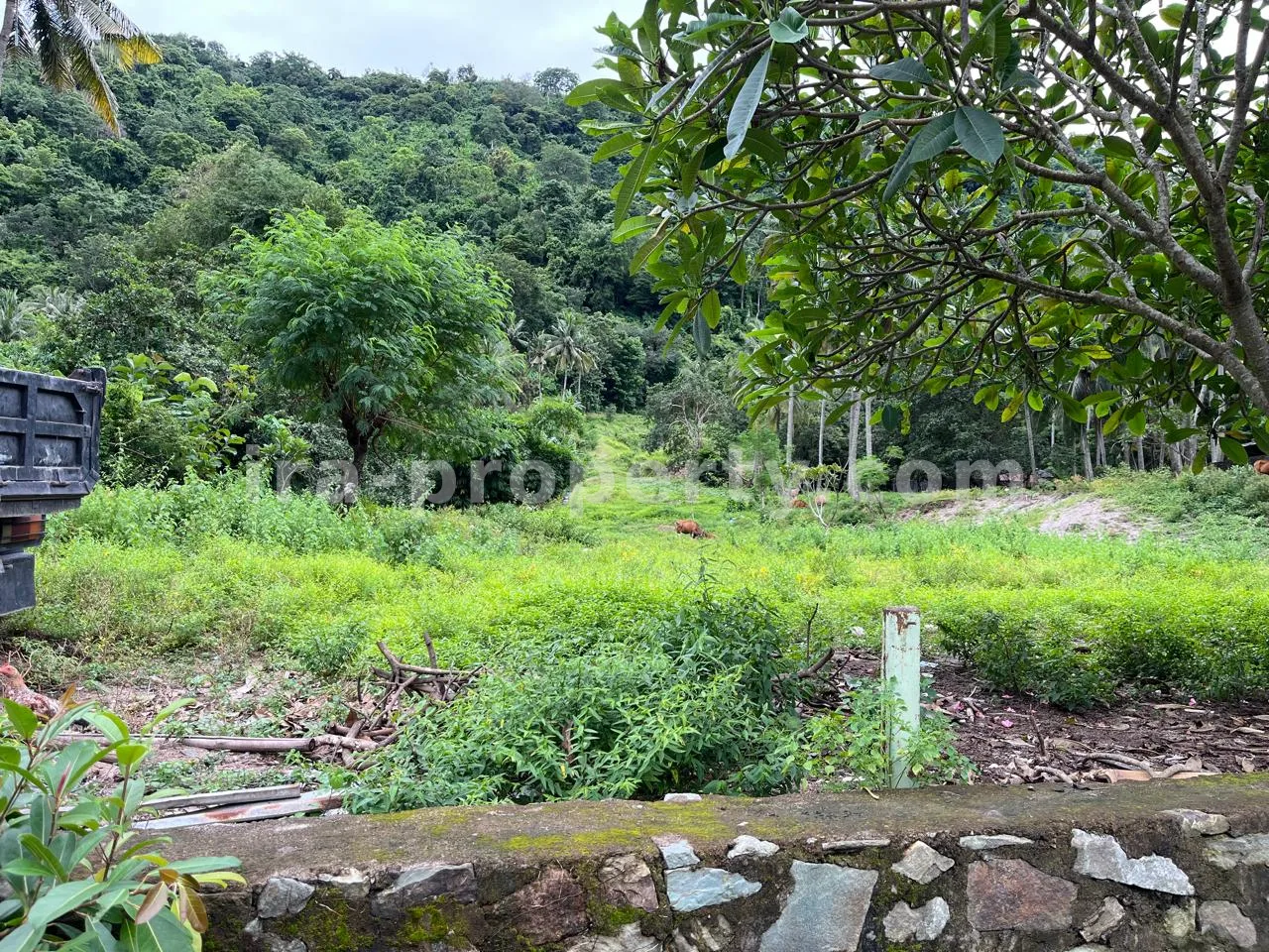 Tanah · Senggigi · foto 3 dari 4 Tanah Dijual di Kerandangan Dekat Senggigi, Lombok Barat - 371 - 3