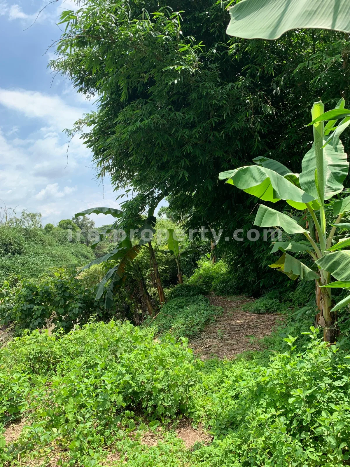 Land · Central Lombok Area · photo 3 of 8 Land for Sale in Labulia, Near the Lombok Airport Bypass, Central Lombok - 87 - 3