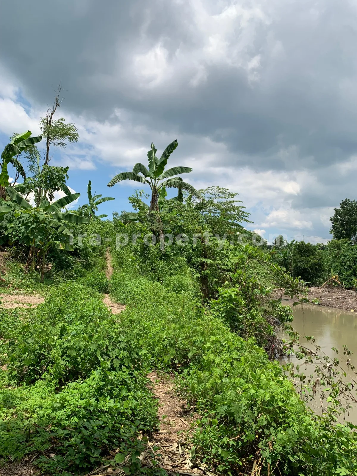 Land for Sale in Labulia, Near the Lombok Airport Bypass, Central Lombok - 87 - 7