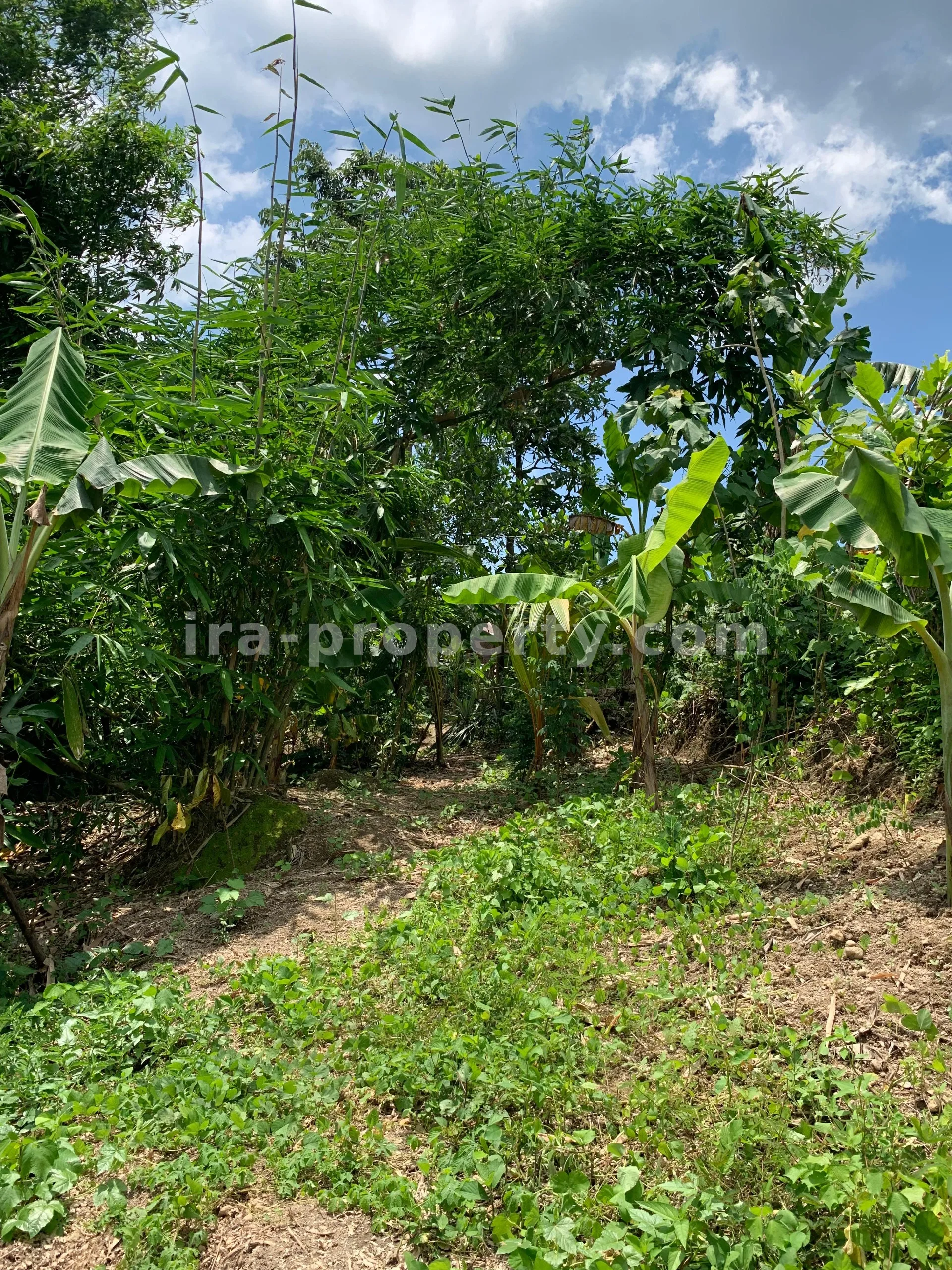 Land for Sale in Labulia, Near the Lombok Airport Bypass, Central Lombok - 87 - 8