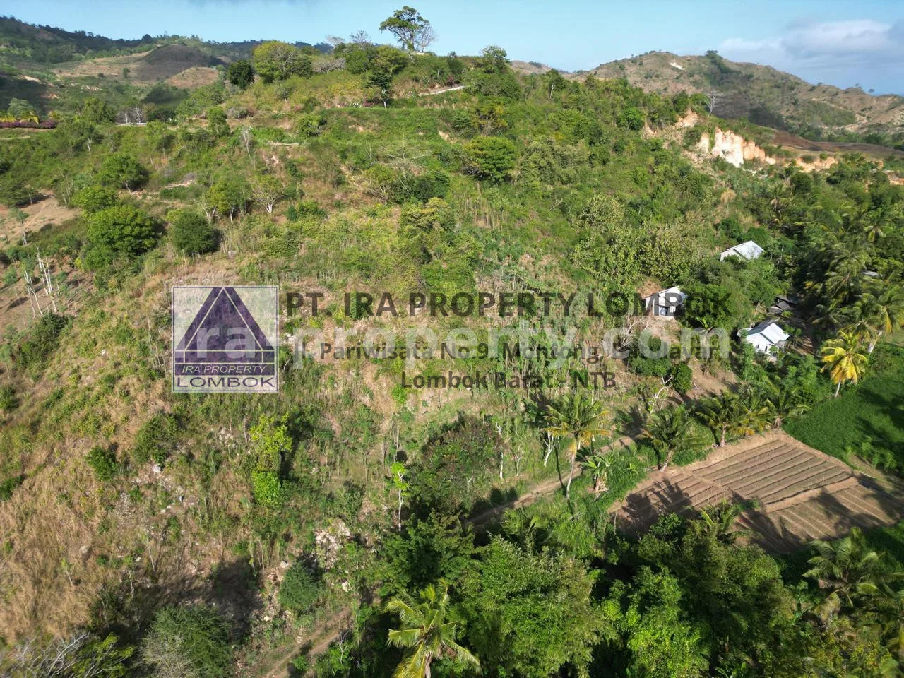 Land · Kuta Mandalika · photo 2 of 4 Ocean View Land for Sale in Prabu Areguling, Kuta Mandalika - 449-2 - 2