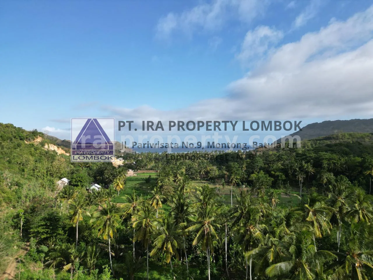 Land · Kuta Mandalika · photo 4 of 4 Ocean View Land for Sale in Prabu Areguling, Kuta Mandalika - 449-2 - 4