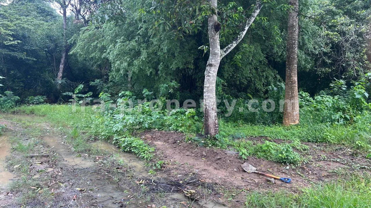 Tanah · Kuta Mandalika · foto 1 dari 4 Tanah Strategis Dijual di Pusat Kuta Mandalika, Lombok - 484 - 1