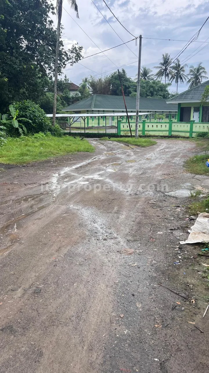 Tanah · Kuta Mandalika · foto 3 dari 4 Tanah Strategis Dijual di Pusat Kuta Mandalika, Lombok - 484 - 3