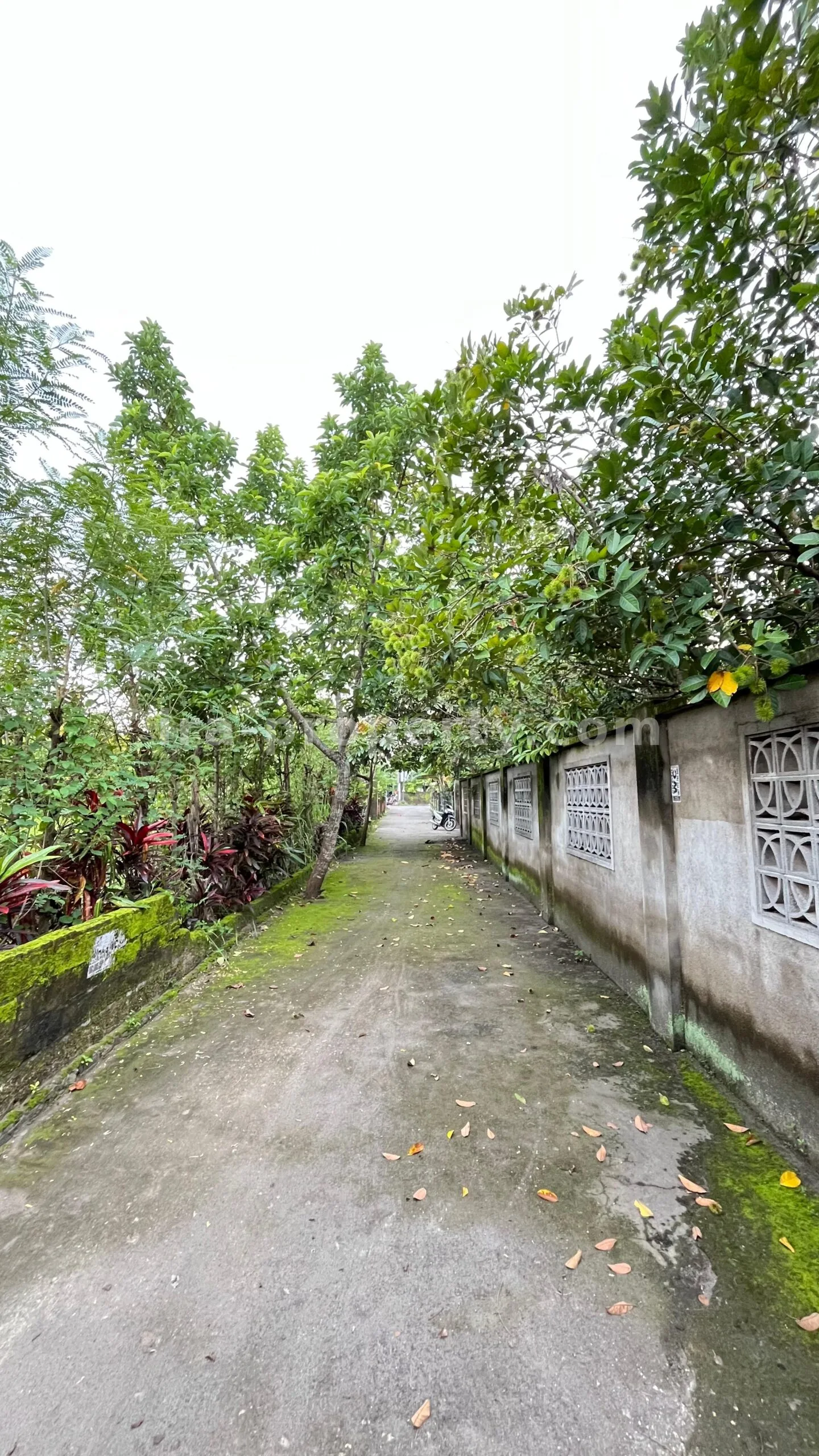Villa & Hotel · Area Lombok Barat · foto 2 dari 11 Villa Konsep Rumah Dijual di Kekeri, Lombok Barat - 657 - 2