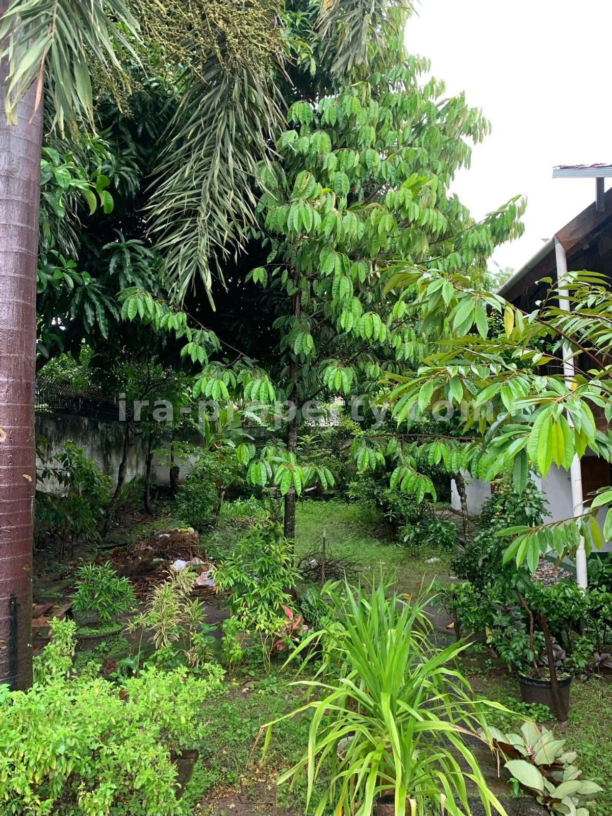 House for Sale in Panjitilar, Mataram - 649-2 - 20