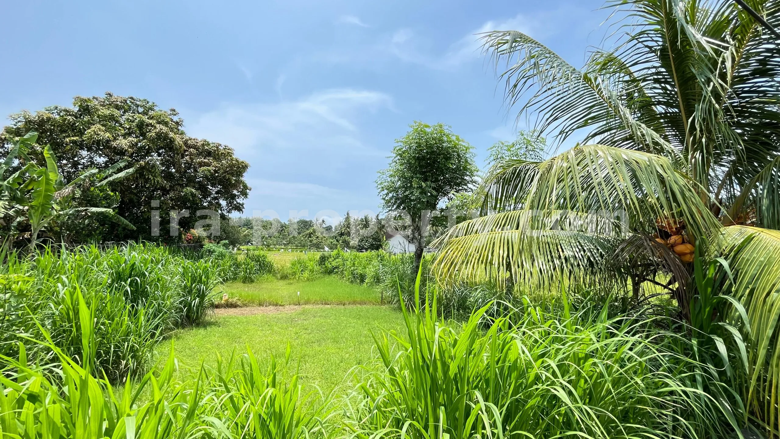 Tanah · Area Lombok Barat · foto 1 dari 8 Tanah Dijual di Bale Solah, Sandik, Lombok Barat - 498-2 - 1