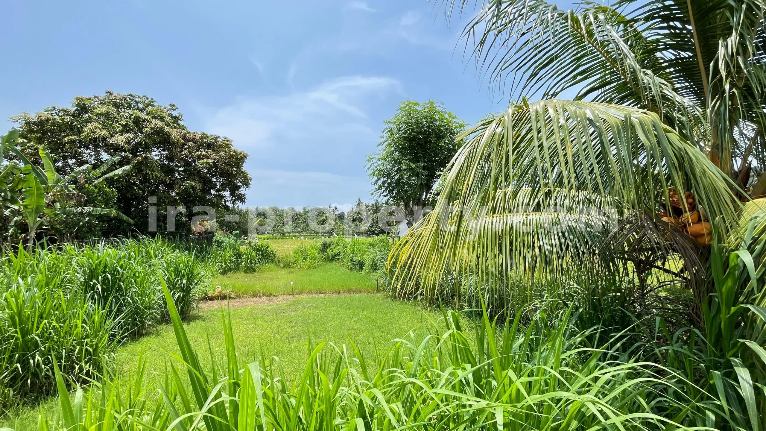 Tanah · Area Lombok Barat · foto 2 dari 8 Tanah Dijual di Bale Solah, Sandik, Lombok Barat - 498-2 - 2