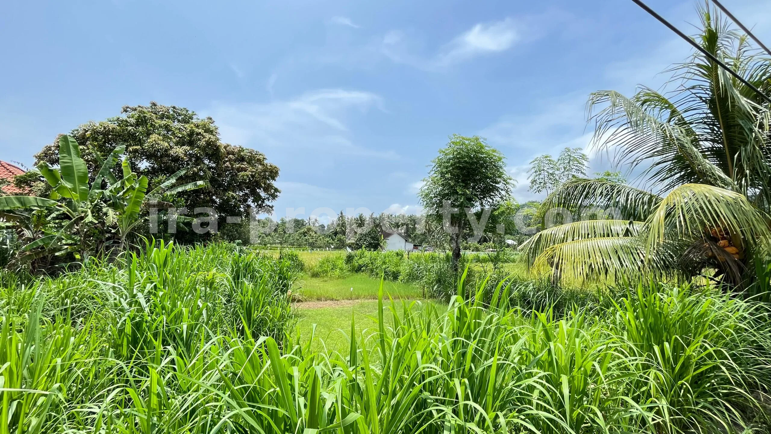 Tanah · Area Lombok Barat · foto 3 dari 8 Tanah Dijual di Bale Solah, Sandik, Lombok Barat - 498-2 - 3