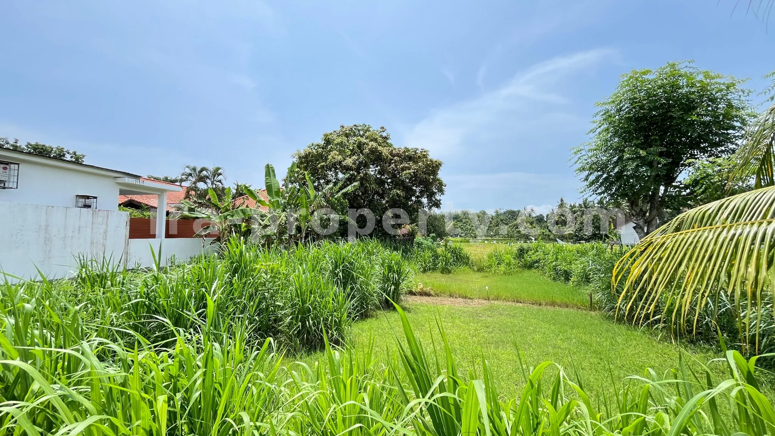 Tanah · Area Lombok Barat · foto 4 dari 8 Tanah Dijual di Bale Solah, Sandik, Lombok Barat - 498-2 - 4
