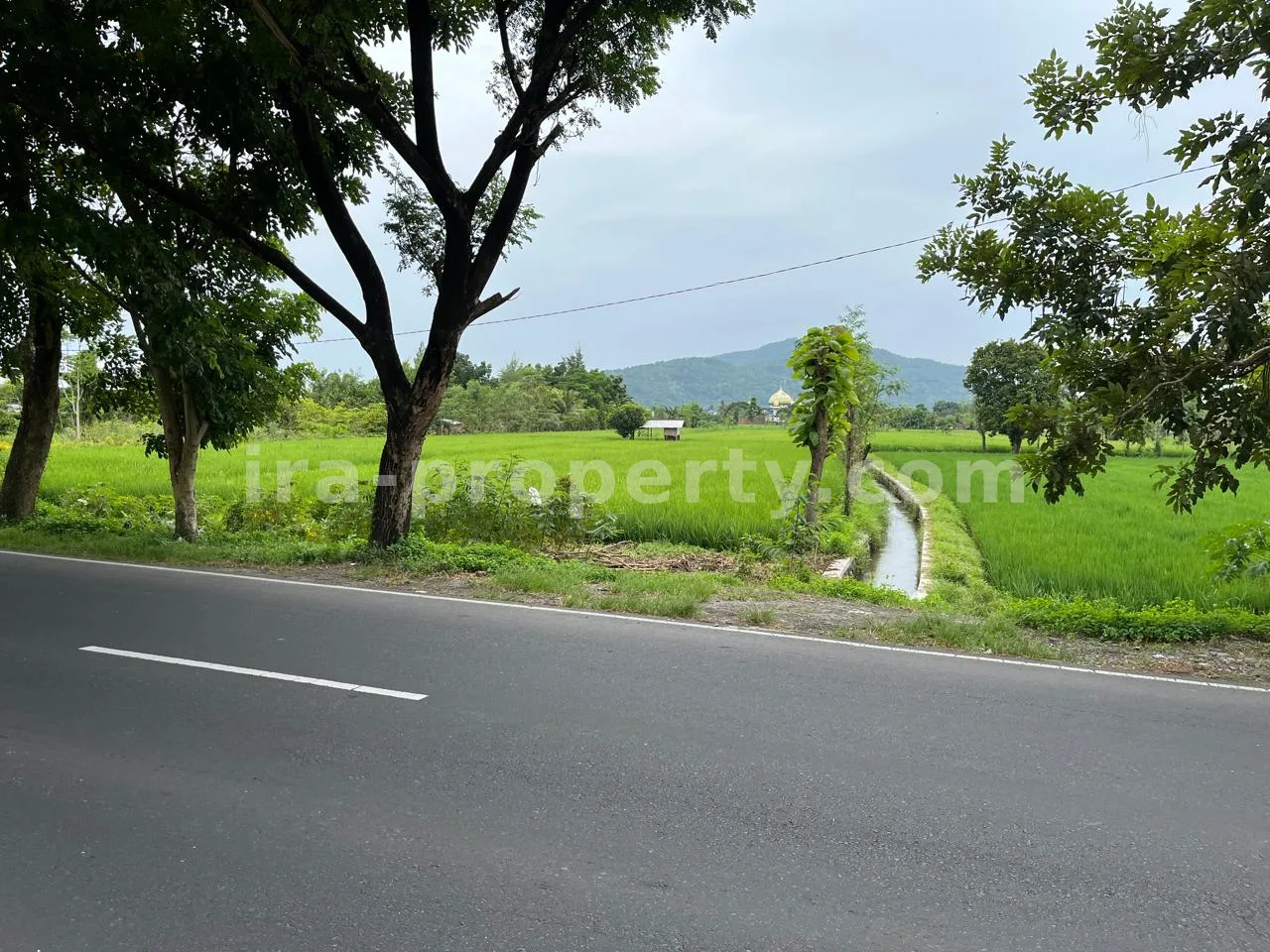 Land · Kuta Mandalika · photo 1 of 5 Land for Sale in Bypass Lombok Airport, Central Lombok - 399 - 1