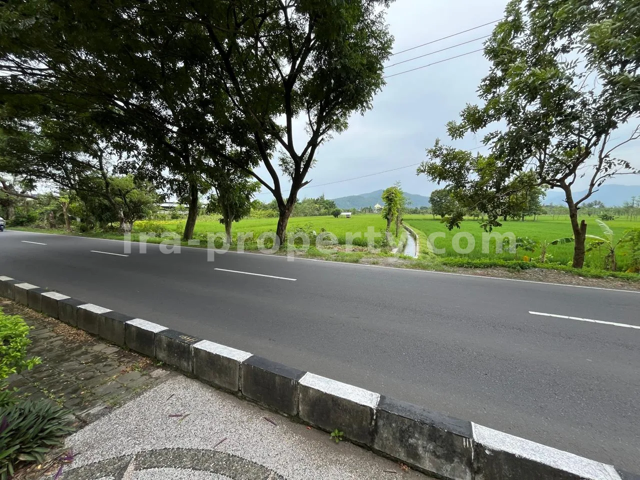 Land · Kuta Mandalika · photo 2 of 5 Land for Sale in Bypass Lombok Airport, Central Lombok - 399 - 2