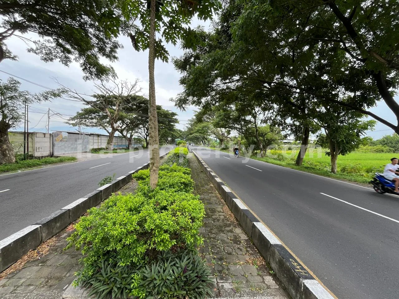 Land · Kuta Mandalika · photo 3 of 5 Land for Sale in Bypass Lombok Airport, Central Lombok - 399 - 3