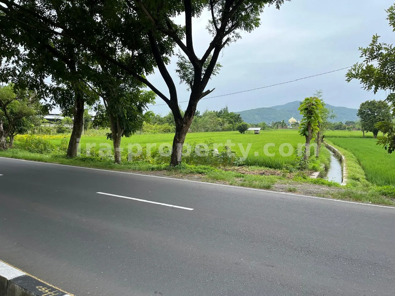 Land · Kuta Mandalika · photo 4 of 5 Land for Sale in Bypass Lombok Airport, Central Lombok - 399 - 4