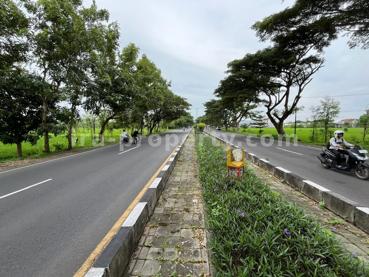 Land · Kuta Mandalika · photo 5 of 5 Land for Sale in Bypass Lombok Airport, Central Lombok - 399 - 5