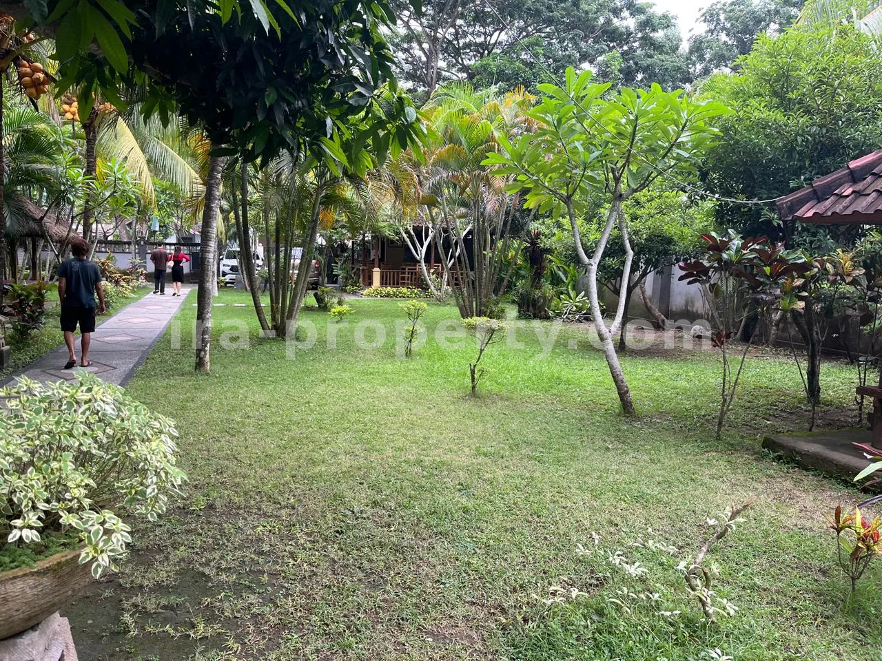Land · Kuta Mandalika · photo 2 of 5 Land for Sale in Central Kuta Mandalika - 489 - 2
