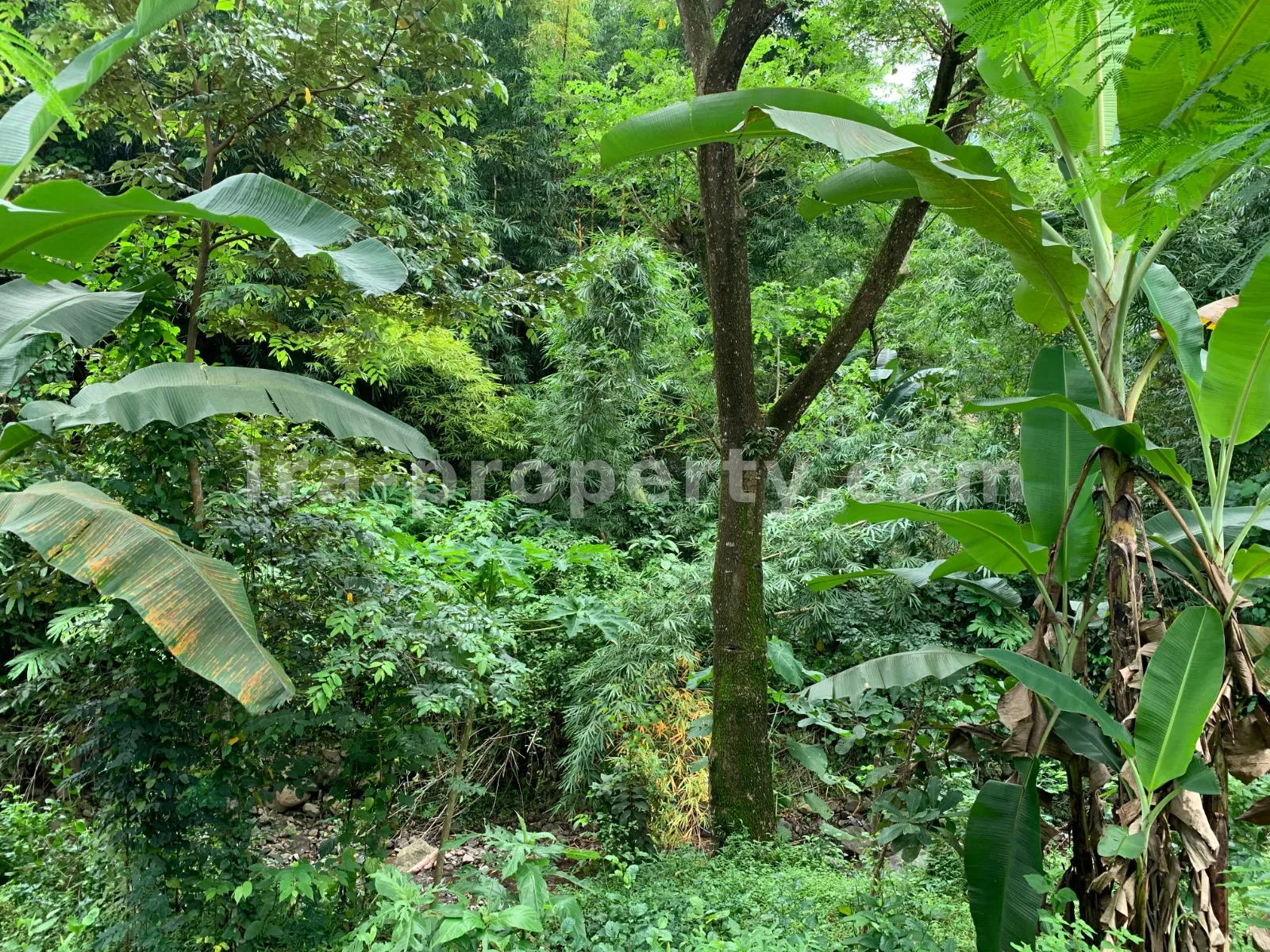 Tanah · Senggigi · foto 2 dari 10 Tanah Dijual di Malimbu Dekat Senggigi, Lombok Barat - 372-2 - 2