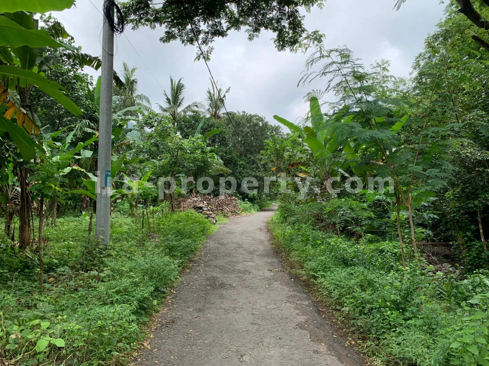 Tanah · Senggigi · foto 3 dari 10 Tanah Dijual di Malimbu Dekat Senggigi, Lombok Barat - 372-2 - 3