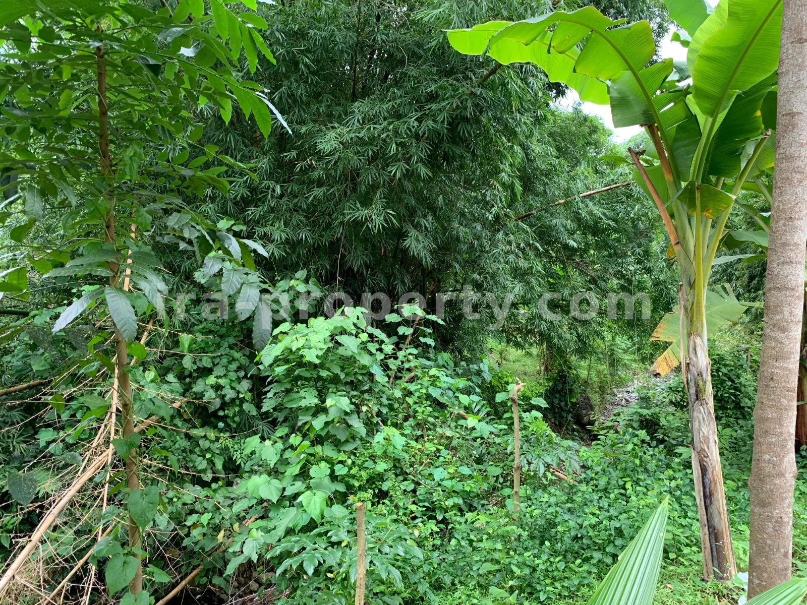 Tanah · Senggigi · foto 5 dari 10 Tanah Dijual di Malimbu Dekat Senggigi, Lombok Barat - 372-2 - 5