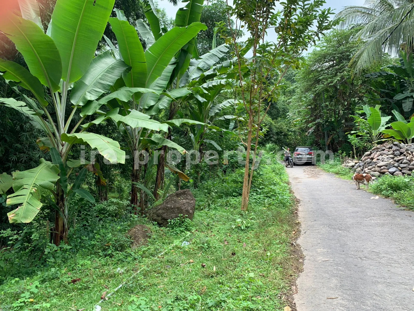 Tanah Dijual di Malimbu Dekat Senggigi, Lombok Barat - 372-2 - 7