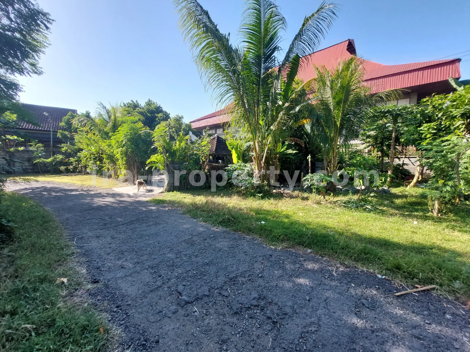 Land · Mataram City · photo 4 of 6 Land Plot for Sale in Karang Sukun, Mataram - 461 - 4