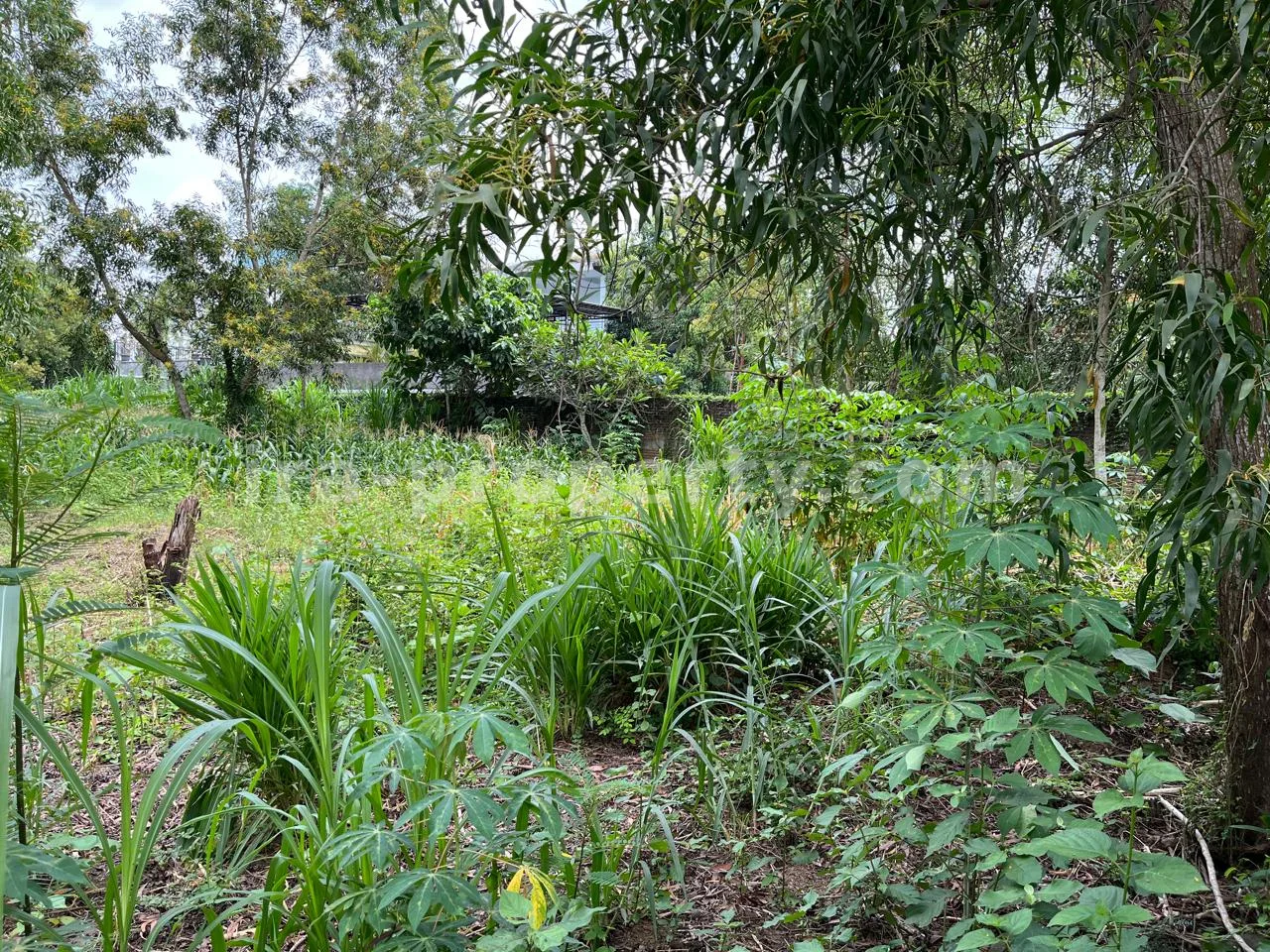 Land · Kuta Mandalika · photo 2 of 4 Land Plot for Sale in Central Kuta Mandalika - 494-2 - 2