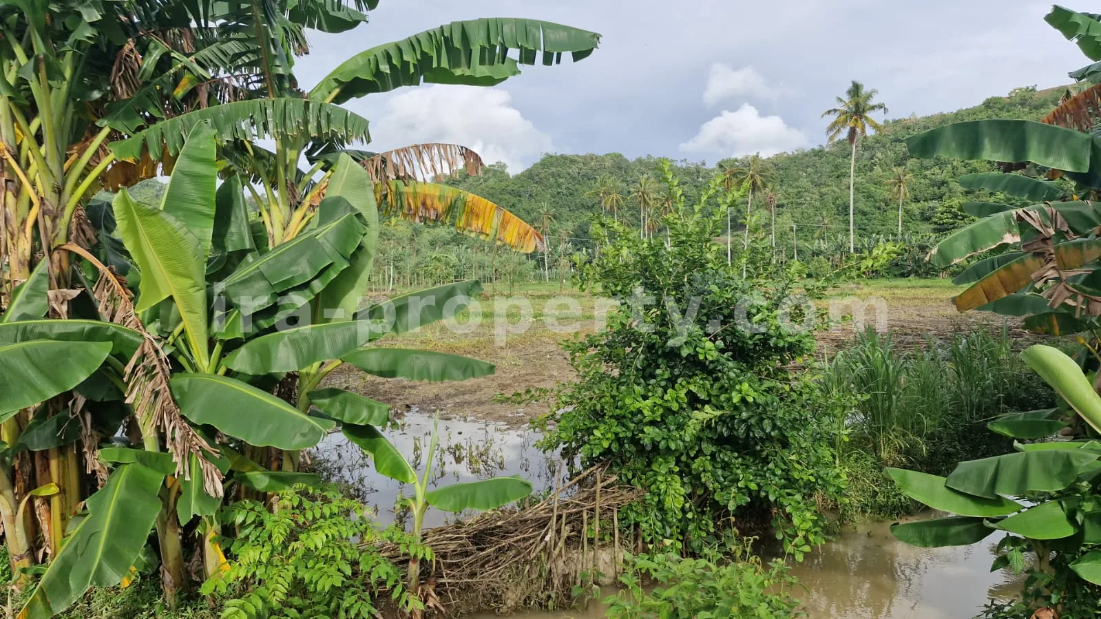Land · Kuta Mandalika · photo 1 of 4 Land Plot for Sale in Selong Belanak, Central Lombok - 495-2 - 1