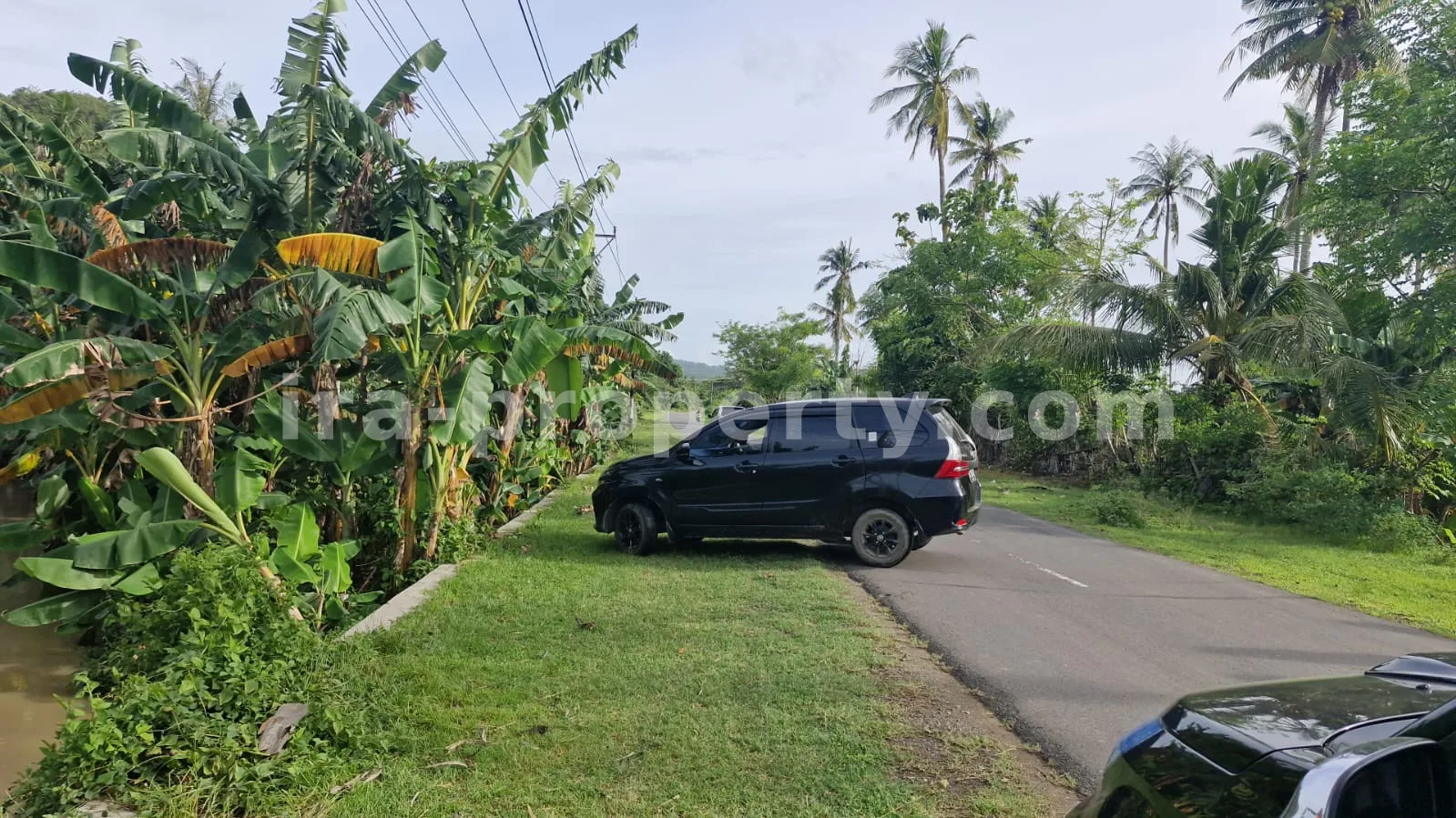 Land · Kuta Mandalika · photo 2 of 4 Land Plot for Sale in Selong Belanak, Central Lombok - 495-2 - 2