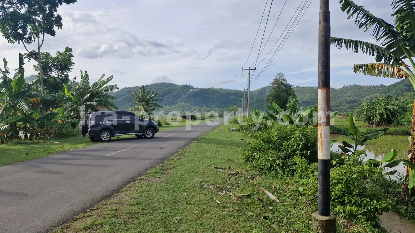 Land · Kuta Mandalika · photo 3 of 4 Land Plot for Sale in Selong Belanak, Central Lombok - 495-2 - 3