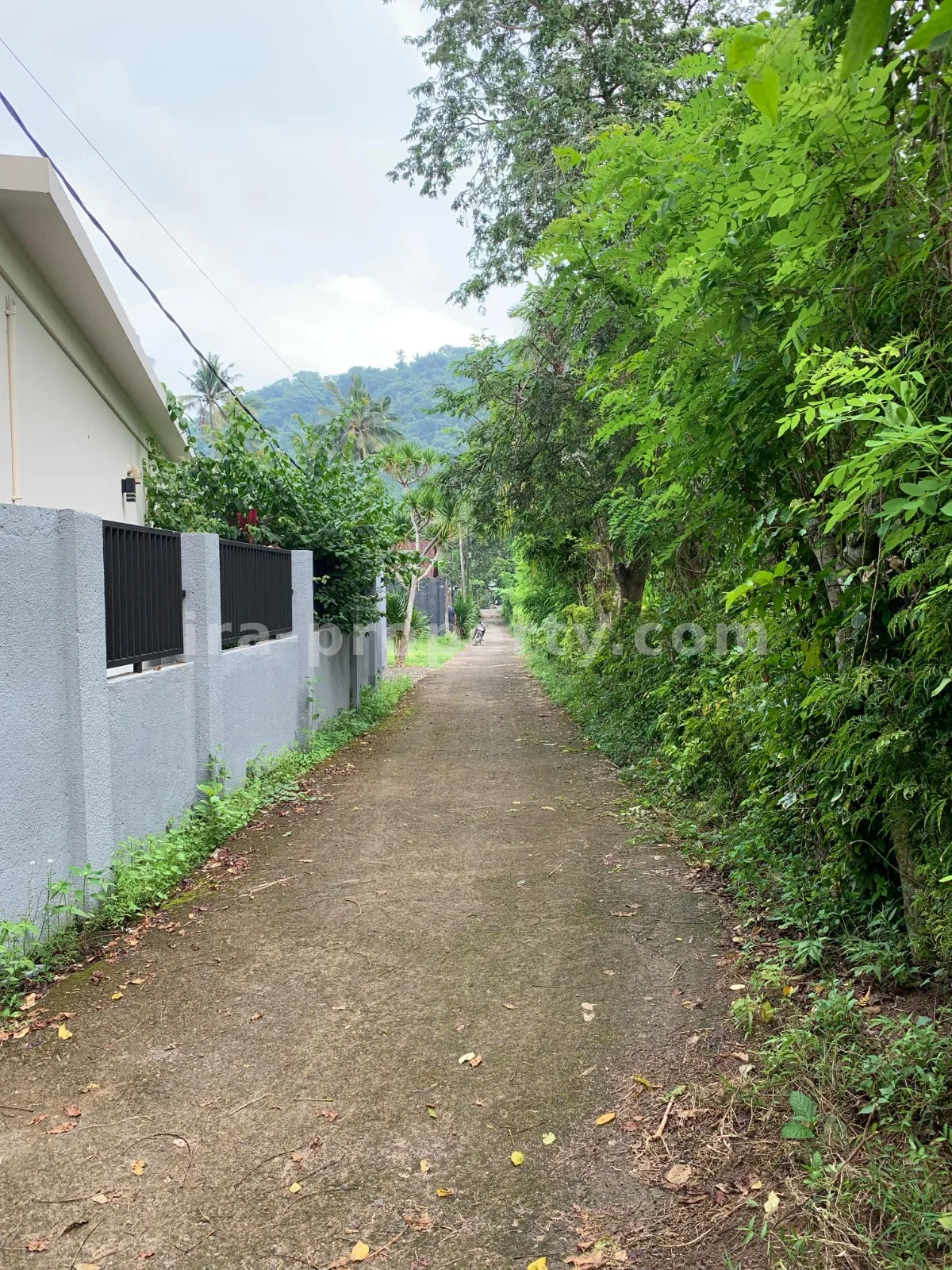 Tanah Pemandangan Pantai untuk Dijual di Kerandangan, Lombok Barat - 377 - 11